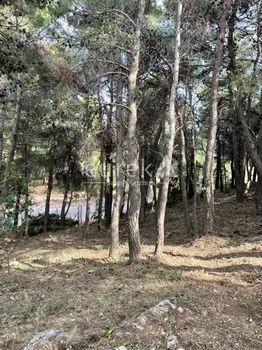 Οικόπεδο 1.000τ.μ. για πώληση-Αχαρνές