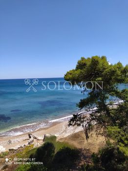 Οικόπεδο 2.000τ.μ. για πώληση-Πεταλίδι