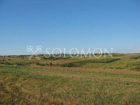 Αγροτεμάχια 6.215 τ.μ. για πώληση