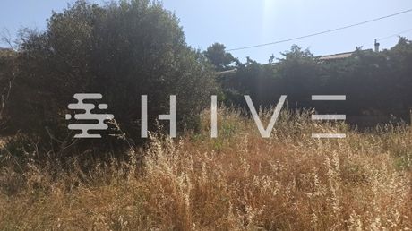 Οικόπεδο 230τ.μ. για πώληση-Μαρκόπουλο
