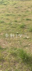 Land plot 623 sqm for sale
