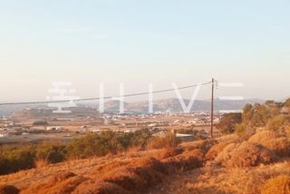 Αγροτεμάχια 7.712 τ.μ. για πώληση