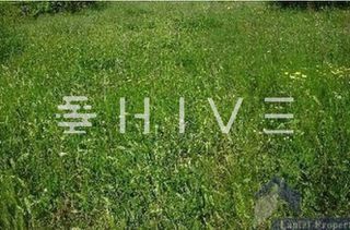 Land plot 545 sqm for sale
