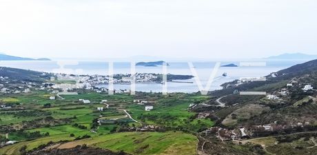Αγροτεμάχια 25.480τ.μ. για πώληση-Άνδρος
