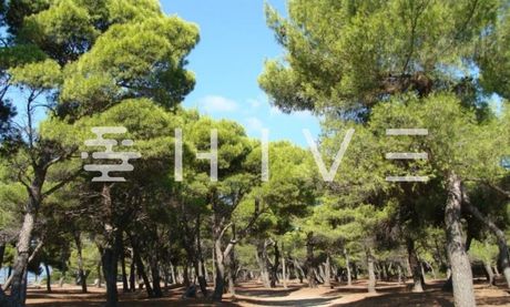 Οικόπεδο 1.550τ.μ. για πώληση-Άγιος στέφανος