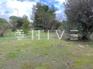 Οικόπεδο 1.100 τ.μ. προς πώληση, Καλίσια-thumb-5