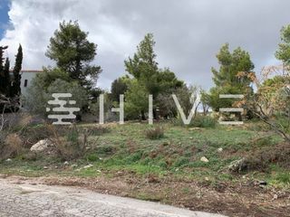 Οικόπεδο 1.100 τ.μ. προς πώληση, Καλίσια-thumb-18