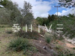 Οικόπεδο 1.100 τ.μ. προς πώληση, Καλίσια-thumb-6