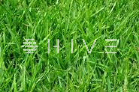 Land plot 965sqm for sale-Chalandri