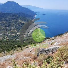 Οικόπεδο 13.708,34 τ.μ. για πώληση