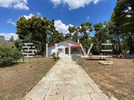 Οικόπεδο 4.135 τ.μ. για πώληση
