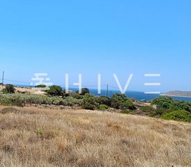 Οικόπεδο 6.260 τ.μ. προς πώληση, Αγκαιριά-thumb-2