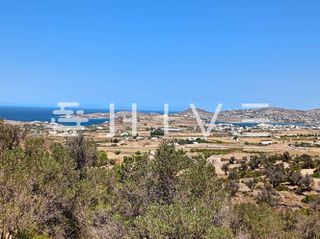 Αγροτεμάχια 4.800 τ.μ. για πώληση
