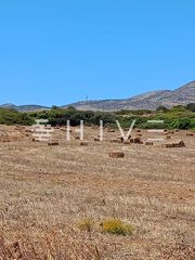 Οικόπεδο 15.743 τ.μ. για πώληση, Κυκλάδες, Πάρος-thumb-3