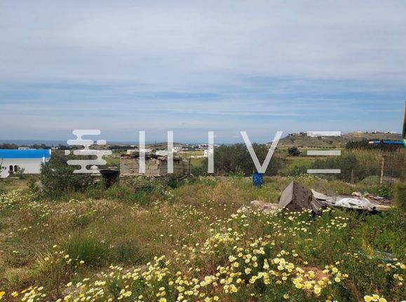 Οικόπεδο 7.323 τ.μ. για πώληση, Κυκλάδες, Πάρος