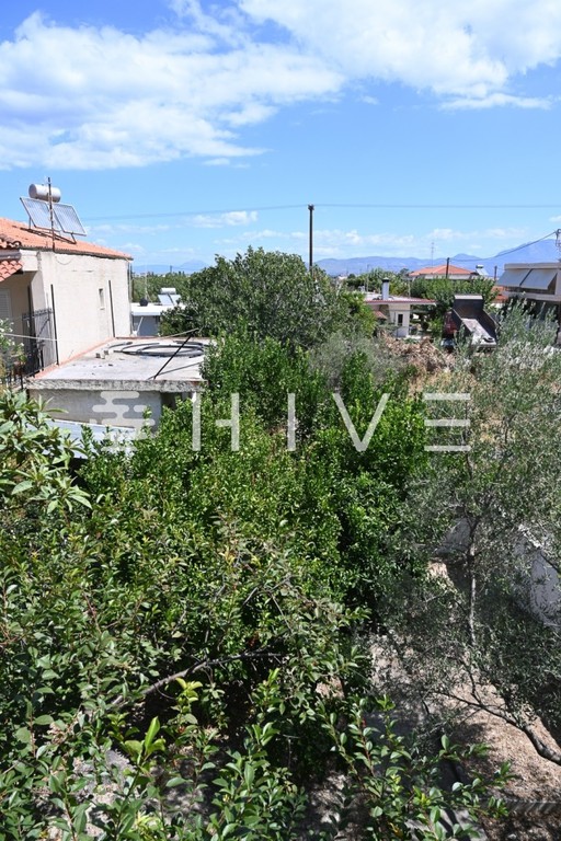Μονοκατοικία 860 τ.μ. προς πώληση, Κοκκώνι