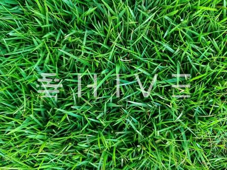 Land plot 2.248sqm for sale-Spata