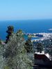 Οικόπεδο 1.624τ.μ. για πώληση-Άνδρος