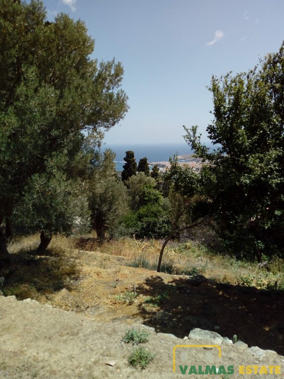 Οικόπεδο 1.624 τ.μ. πρός πώληση, Κυκλάδες, Άνδρος