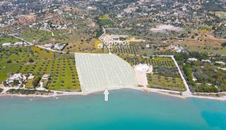 Οικόπεδο 26.000 τ.μ. για πώληση