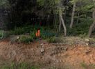 Land plot 1.000sqm for sale-Acharnes