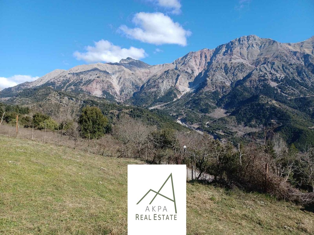 Αγροτεμάχια 429 τ.μ. προς πώληση, Γρανίτσα Απεραντίου