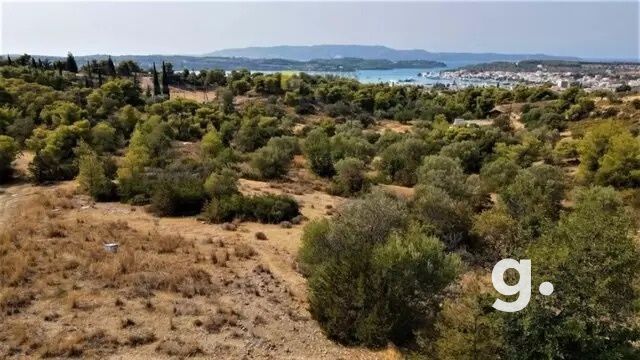 Οικόπεδο 12.700 τ.μ. για πώληση, Αργολίδα, Κρανίδι