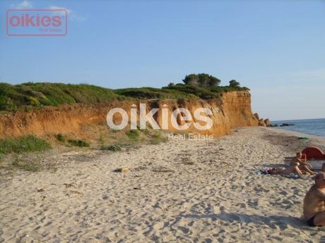 Αγροτεμάχια 5.520τ.μ. για πώληση-Μουδανιά