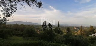 Οικόπεδο 2.270 τ.μ. για πώληση, Ν. Κέρκυρας, Κέρκυρα-thumb-13