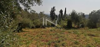 Οικόπεδο 2.270 τ.μ. για πώληση, Ν. Κέρκυρας, Κέρκυρα-thumb-16