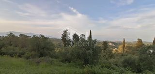 Οικόπεδο 2.270 τ.μ. για πώληση, Ν. Κέρκυρας, Κέρκυρα-thumb-10