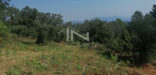 Οικόπεδο 2.270 τ.μ. για πώληση, Ν. Κέρκυρας, Κέρκυρα-thumb-11