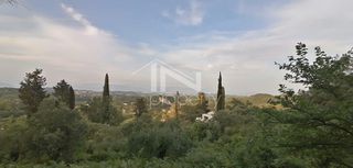 Οικόπεδο 2.270 τ.μ. για πώληση, Ν. Κέρκυρας, Κέρκυρα-thumb-12