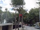 Land plot 1.000sqm for sale-Acharnes