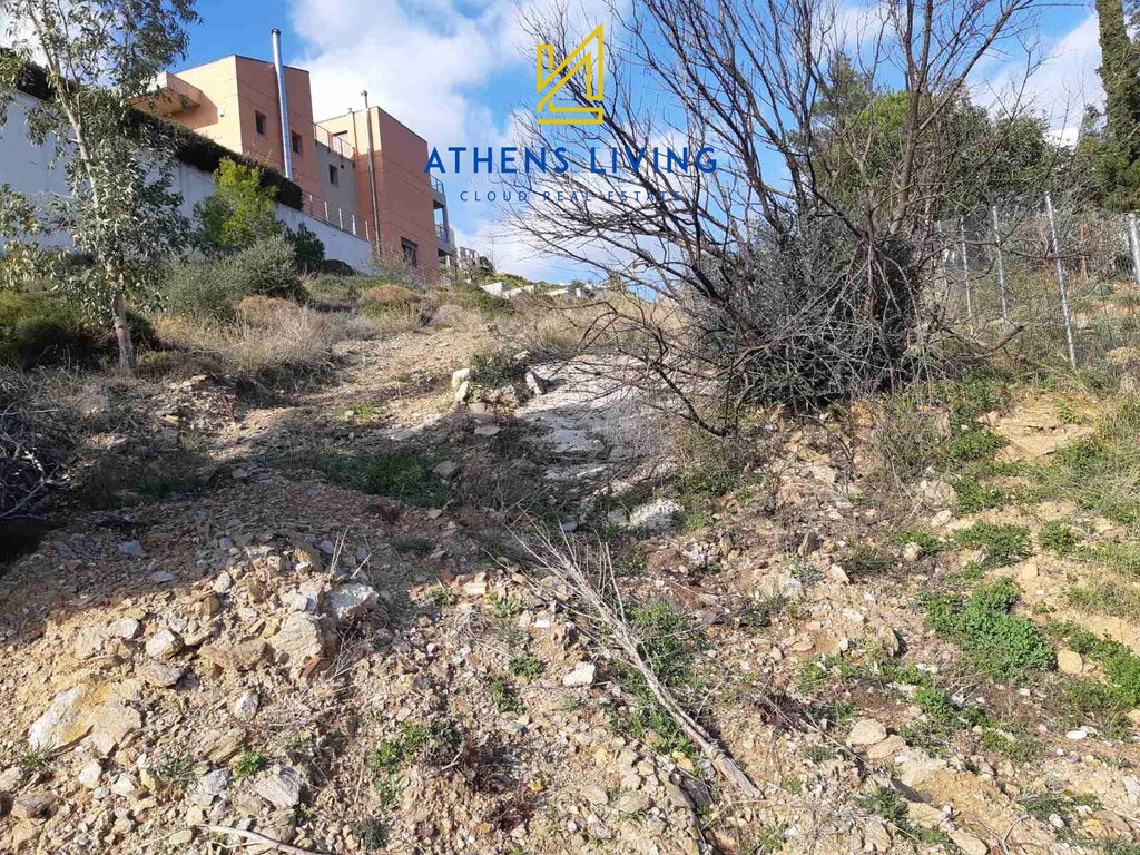 Οικόπεδο 1.298 τ.μ. προς πώληση, Ντράφι