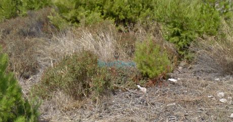 Land plot 364sqm for sale-Marousi