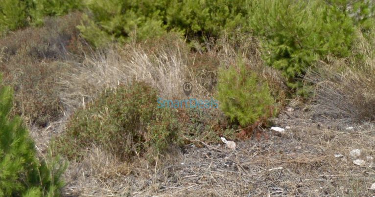 Land plot 364 sqm for sale, Athens - North, Marousi