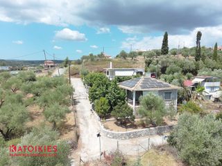 Μονοκατοικία 60 τ.μ. για πώληση, Μεσσηνία, Μεσσήνη-thumb-14