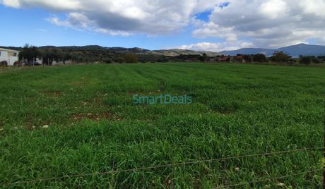 Parcel 6.000sqm for sale-Fares