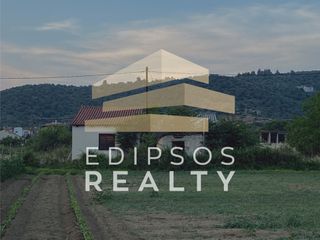 Αγροτεμάχια 4.318 τ.μ. για πώληση