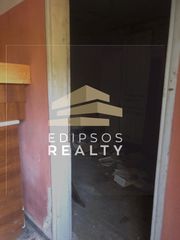 Αγροτεμάχια 4.318 τ.μ. για πώληση, Εύβοια, Αιδηψός-thumb-6