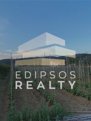 Αγροτεμάχια 4.318 τ.μ. για πώληση, Εύβοια, Αιδηψός-thumb-2