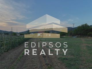 Αγροτεμάχια 4.318 τ.μ. για πώληση, Εύβοια, Αιδηψός-thumb-4