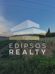 Αγροτεμάχια 4.318 τ.μ. για πώληση, Εύβοια, Αιδηψός-thumb-5