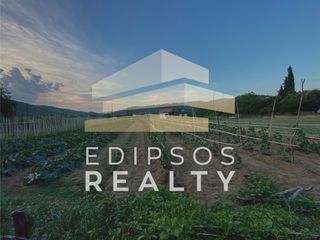 Αγροτεμάχια 4.318 τ.μ. για πώληση, Εύβοια, Αιδηψός-thumb-3