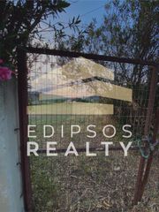 Αγροτεμάχια 4.318 τ.μ. για πώληση, Εύβοια, Αιδηψός-thumb-10