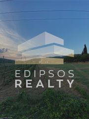 Αγροτεμάχια 4.318 τ.μ. για πώληση, Εύβοια, Αιδηψός-thumb-7