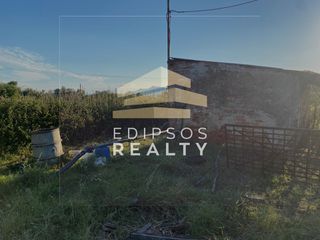 Αγροτεμάχια 4.318 τ.μ. για πώληση, Εύβοια, Αιδηψός-thumb-12