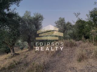 Αγροτεμάχια 5.475 τ.μ. για πώληση, Εύβοια, Αιδηψός-thumb-5