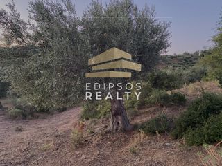Αγροτεμάχια 5.475 τ.μ. για πώληση, Εύβοια, Αιδηψός-thumb-8